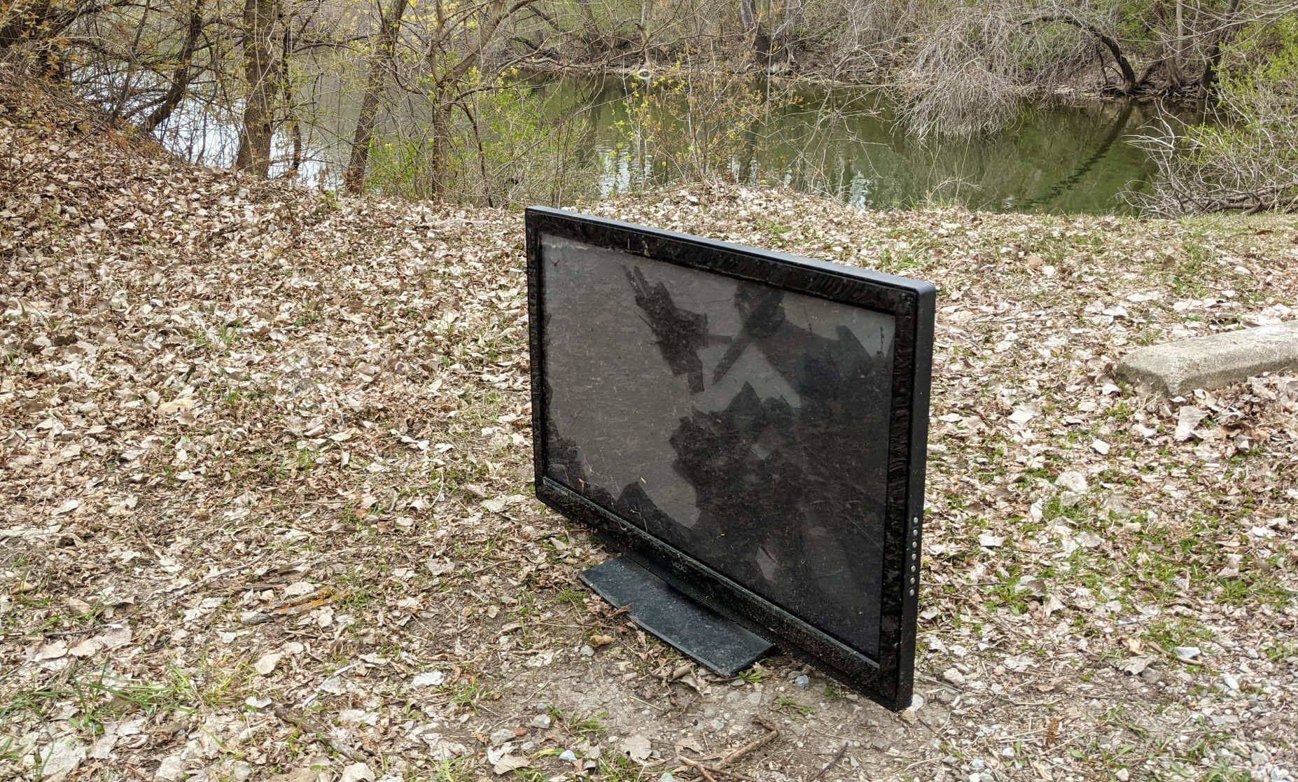 LITTER 2.jpg